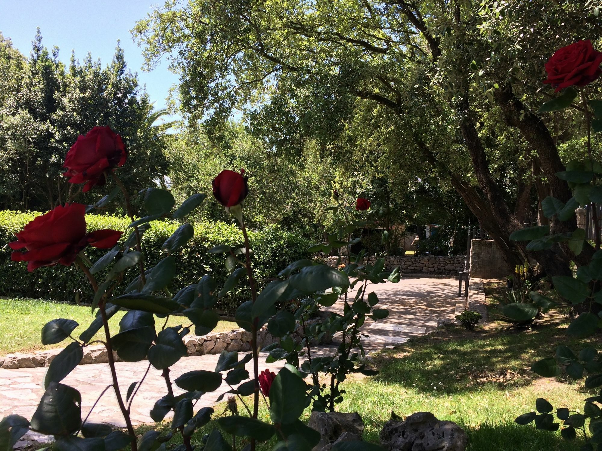 Hotel Posada La Robleda (Adults Only) Arnuero Zewnętrze zdjęcie